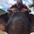 Randall Peltier's profile image