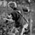 Marianne Gizzi's profile image