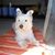 Lyve Loula's profile image