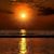Sara L Woodall's profile image