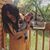Nina Brown's profile image