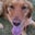 Tom Scott's profile image