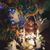 Karly Mauldin Renna's profile image