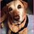 Cheryl Sterner Murphy's profile image