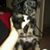 Jennifer Brown's profile image