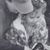 Shannon Haskett's profile image