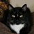 Nancy Jane's profile image
