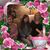 Brenda Lauthers's profile image