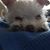 Laura Engels's profile image