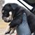 Rek Bullyz's profile image