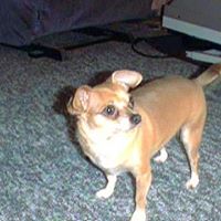Michelle Saybo's profile image