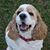 Nancy Knox Hersh's profile image