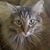 Rita Michelsen's profile image