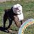 Jeanie Martin's profile image