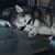 Brandy Marie's profile image