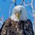 Ken Glinka's profile image