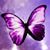 Brenda Bren Bourgeois's profile image