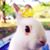 Rita Fung's profile image