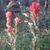 Amy Tangen's profile image