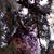 Elyn Robinson Tromey's profile image