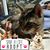 Nancy Reeves's profile image