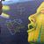 Angela Owens-Van Oppens's profile image