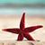 Lynn Eickhoff's profile image