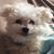 Norma Jean's profile image