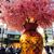 Maria Young's profile image