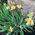 Sharon Coogan's profile image