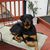 Dorothy Chaffee's profile image