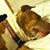 Aileen Robak Webber's profile image