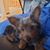 Duane R. Pecci's profile image