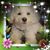 Marcia Martinetti's profile image