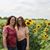 Kathy McIntosh's profile image
