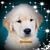 Patricia Bass-Walker's profile image