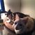 Patricia Locke's profile image