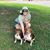 Sarah Wilson Colvard's profile image