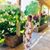Ester Antillon's profile image
