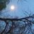 Kathryn Von Glahn's profile image