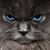 Marlena Lynn Ballard's profile image