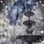 Lynnette Dayhoff's profile image