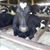 Michael Mallette-Davis's profile image