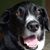 Stacey Walsh's profile image