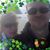 Michele Hardy's profile image