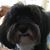 Bettejane Speno-Lugari's profile image