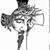 Andrea Franks's profile image