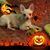 Jacqueline Elizabeth Baggs's profile image