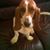 Edward Schultz's profile image