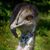 Hailey Yourist's profile image